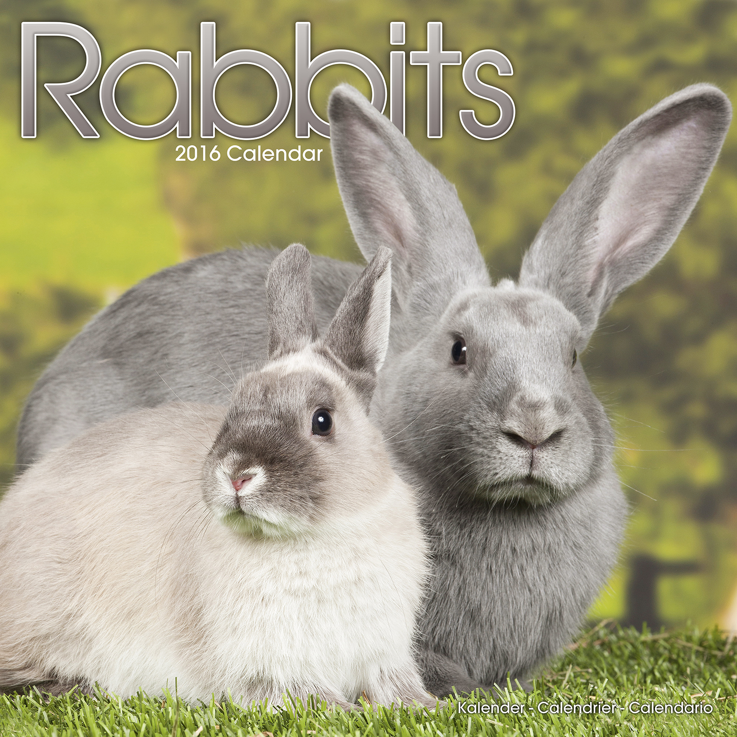 rabbits calendar 2016 pet prints inc rabbits calendar 2016 pet prints inc
