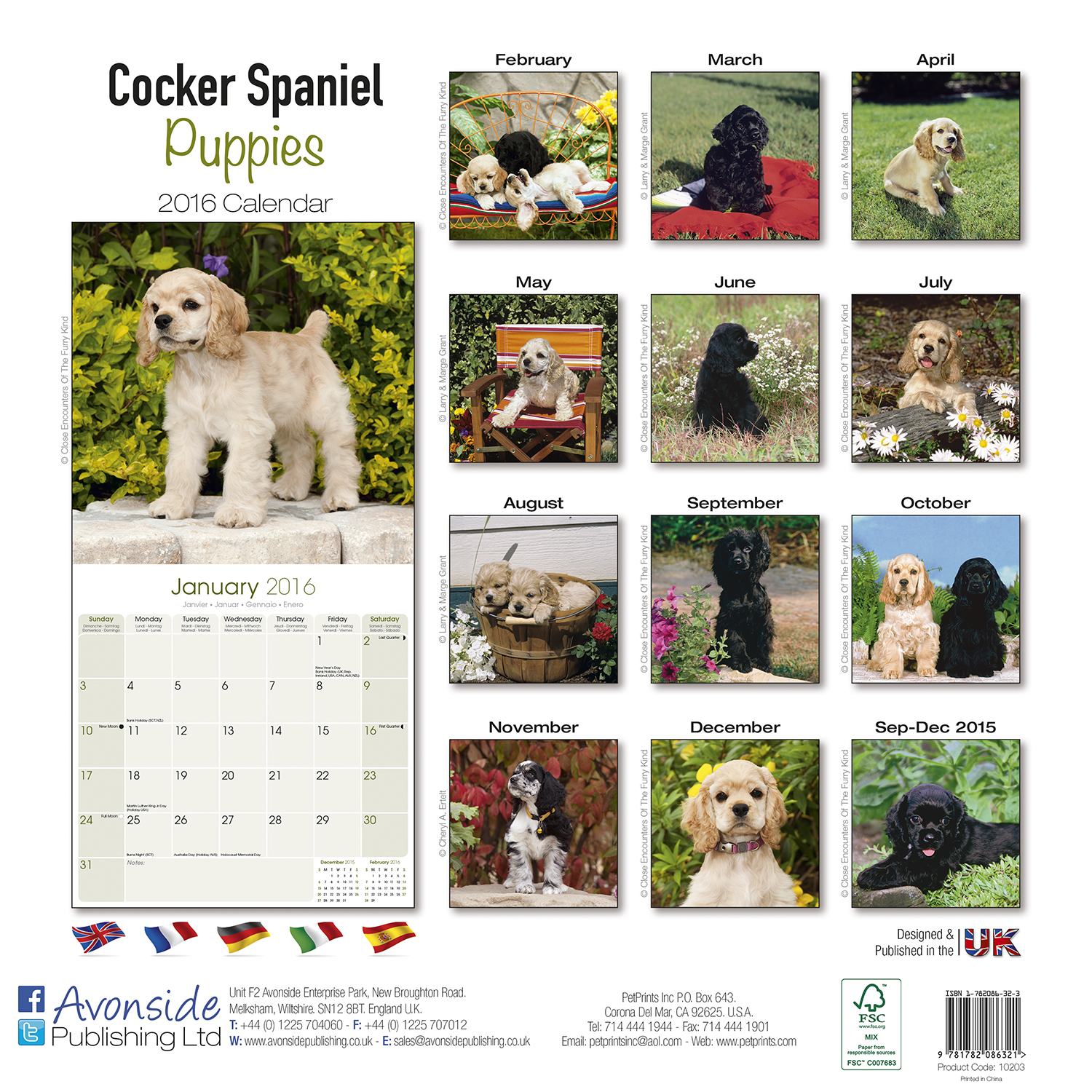 Cocker Spaniel Puppies Calendar 2016 Pet Prints Inc.