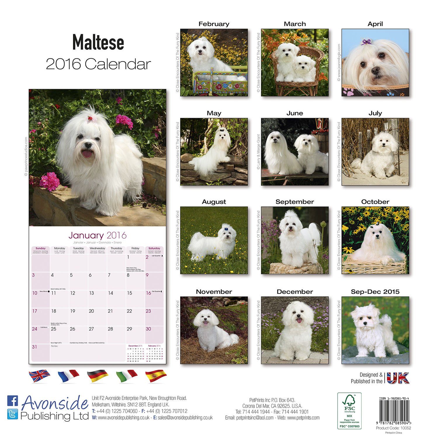 Maltese Calendar 2016 Pet Prints Inc.
